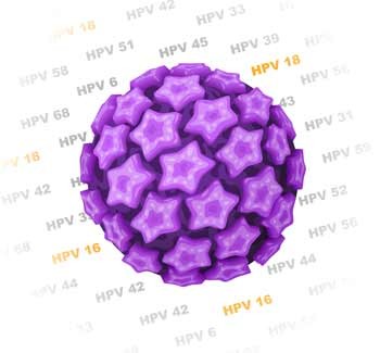 Voksne kvinder skal også vaccineres mod HPV